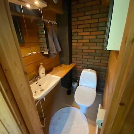 Jaenkkaerinne Cozy Levi, Lapland בקתה Kittilä