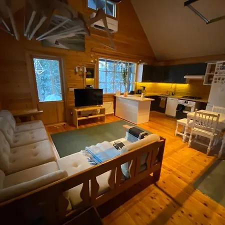 Jaenkkaerinne Cozy Cabin Levi, Lapland Chalet