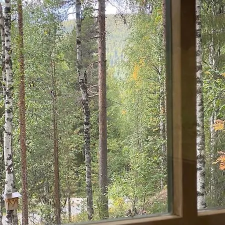 Jaenkkaerinne Cozy Levi, Lapland Kittilä